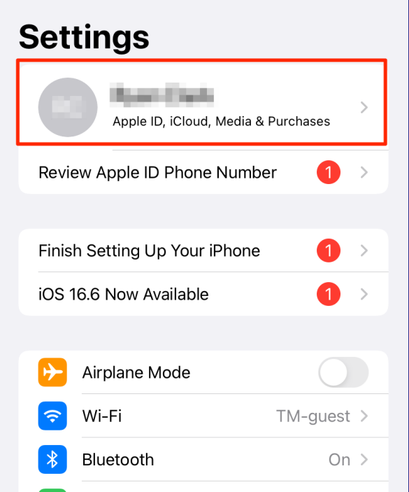 Settings menu showing Apple ID at the top